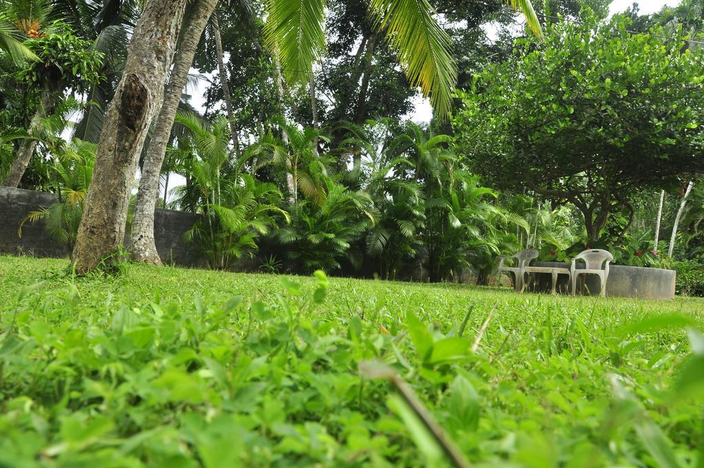 Village Headman'S Five Bedrooms Entire Bungalow Induruwa Exterior foto