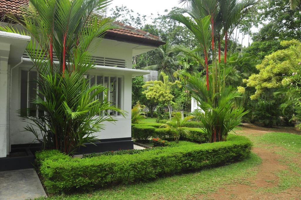 Village Headman'S Five Bedrooms Entire Bungalow Induruwa Exterior foto